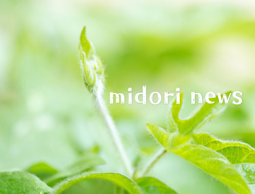 みどりニュース