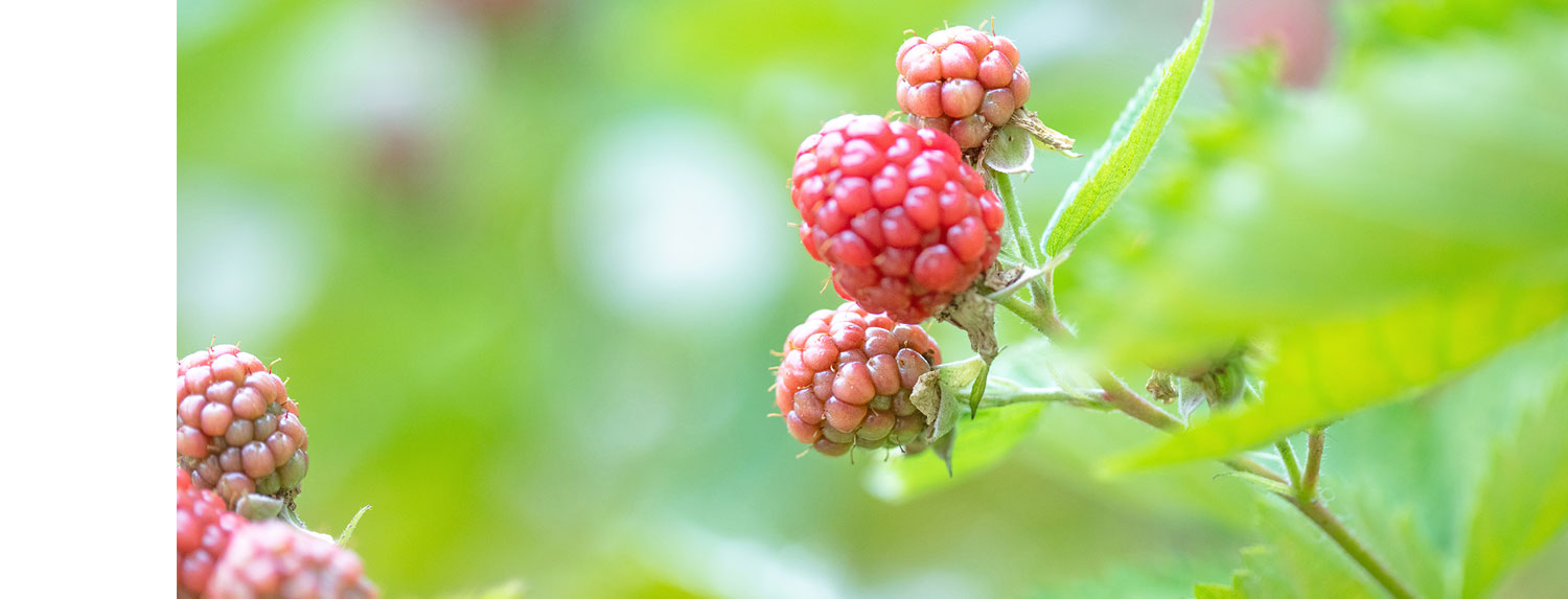 個人情報保護方針