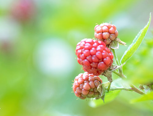 個人情報保護方針